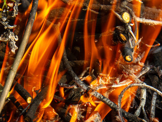 Detailed close-up of a vibrant bonfire's flames.