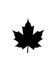 A simple black-and-white illustration of a maple leaf. Perfect for nature-inspired designs, autumn themes, and environmental branding.