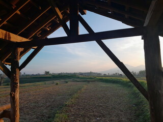 hut in the rice field