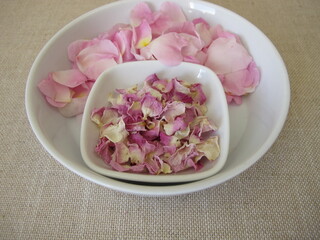 Fresh and dried petals from the wild dog rose on a plate, Rosa canina