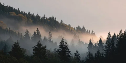 Sierkussen Mistig bos Halloween mist rolling over a forest at sunrise nature scene warm atmosphere  © JPminimal