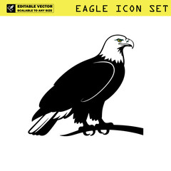 Fototapeta premium Silhouette of a majestic eagle standing tall on a branch with wings folded in a graceful pose