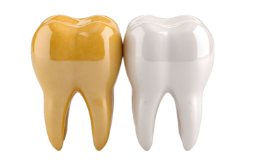 Two teeth, one yellow, one white, side-by-side, highlighting tooth whitening