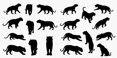 A collection of black tiger silhouettes in various dynamic poses, including walking, standing, crouching, and pouncing, isolated on a transparent background.