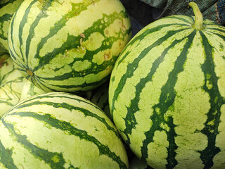 Neatly arranged pile of fresh green watermelons with distinct dark stripes, ready for sale at the...