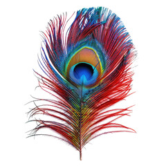 Obraz premium Vibrant peacock feather, richly colored in reds, blues, and greens, showcasing intricate design