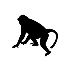 Monkey silhouette