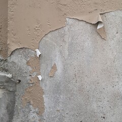 Excessive moisture can cause mold and peeling paint wall ,Exterior fence or wall.
