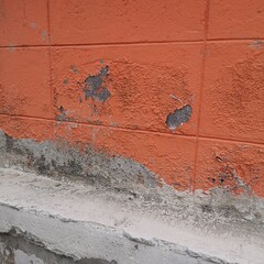 Excessive moisture can cause mold and peeling paint wall ,Exterior fence or wall. 