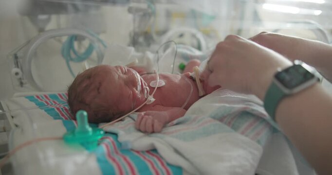 Baby Premature Boy Getting Diaper Change while in Incubator