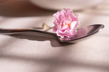 A close-up photograph of a small, delicate pink flower resting on a shiny, silver spoon.
