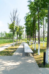 spring park and modern city