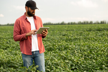 A modern farmer standing in a green soybean field and using a digital tablet. Concept of smart farming, crop management, precision agriculture, and modern agricultural technology.