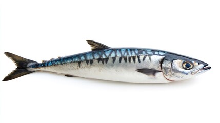 Naklejka premium Fresh whole mackerel fish isolated on a clean white background, showing shiny scales and detailed texture for seafood concept