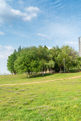 Beautiful panorama of green city park