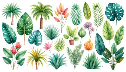 Fototapeta premium Tropical foliage illustrations