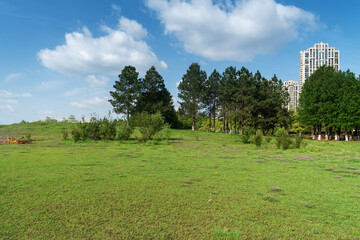 Beautiful panorama of green city park
