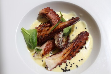 Italian cuisine: grilled octopus with cream of potatoes in Murano, Italy