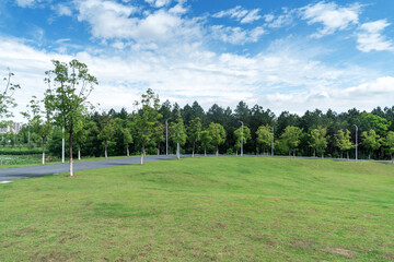 Beautiful panorama of green city park