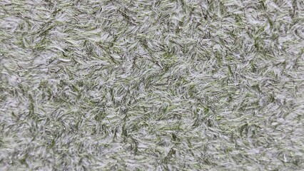 Dense Fibrous Texture with White and Greenish Threads — Ideal Image for Materials Science, Textile Design, and Artistic Projects