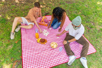 Multicultural Group of friends enjoying picnic and playing dominoes in a park