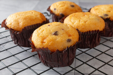 A view of gluten-free chocolate chip mini muffins.