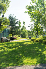 spring park and modern city