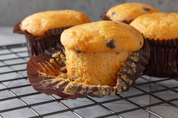 A view of gluten-free chocolate chip mini muffins.