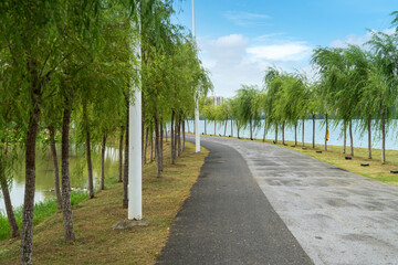 New pathway and beautiful trees track for running or walking and cycling relax in the park