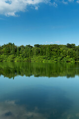 Fototapeta premium Lush greener around the pond in the park