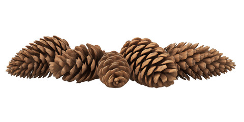Group of Five Pine Cones Arranged in a Curve conifer cone isolated on a transparent background