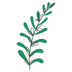 Green Botanical Branch With Leaves And Black Outlines. Minimalist cartoon foliage leaf perfect for floral arrangements, botanical cards, wedding invitations, seasonal posters, and stickers.