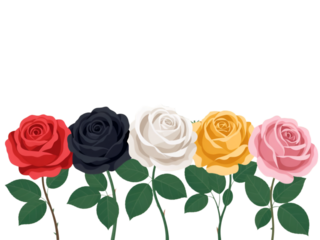 Five Colorful Roses with Green Stems isolated on a transparent background black white