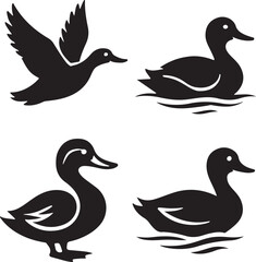 Domestic and wild ducks silhouette.