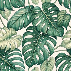 Vibrant green monstera leaves tropical forest botanical illustration lush environment close-up view nature’s beauty and diversity