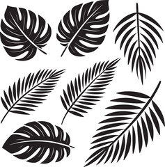 Obraz premium Black tropical leaves silhouettes on white background