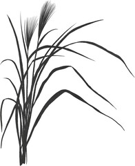 ススキのイラスト素材