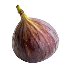 Ripe Purple Fig: Close-up Photograph of Single Fresh Fig Fruit, Isolated on White Background