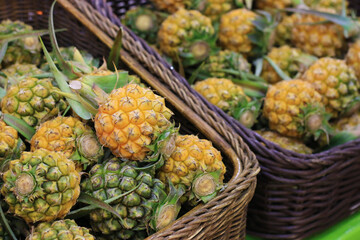 pineapples fruits in basket for sell in market