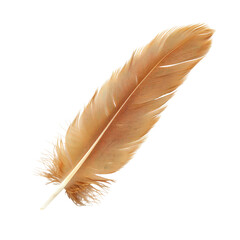 Fototapeta premium A single light brown feather, diagonally positioned, shows fine barbs and a central shaft. The feather's edges are slightly frayed