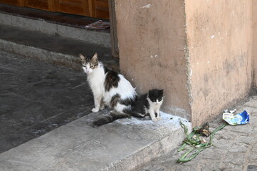 Meknès (Maroc)