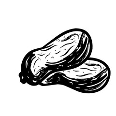 Rough Ink Sketch of Dates kurma
