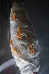 Close-up of a cocoon with yellow protrusions