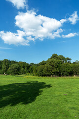 Beautiful panorama of green city park