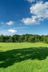 Beautiful panorama of green city park