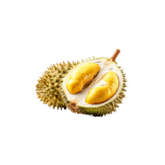 Obraz premium Fresh Durian Fruit Cut in Half, Showing Golden Yellow Flesh and Spiky Exterior - Isolated on Black