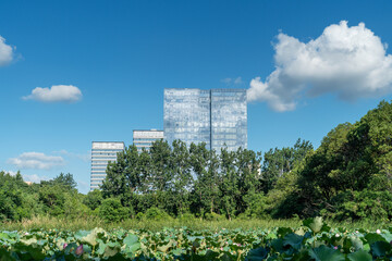 Lakeside modern office building in China