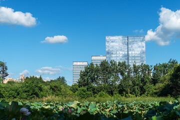 Lakeside modern office building in China