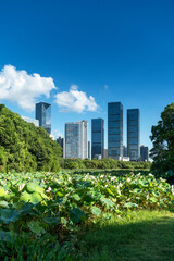 Fototapeta premium spring park and modern city