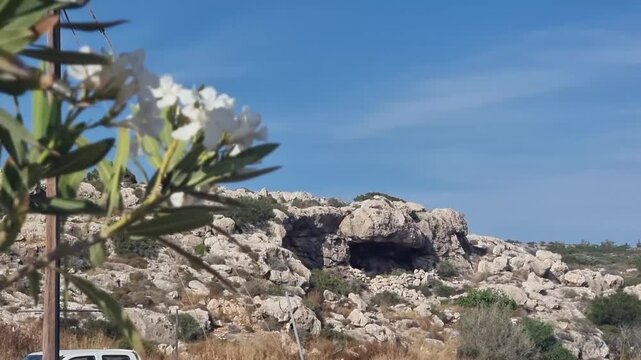 Cyprus, aya napa, white flowers and light cliffs.